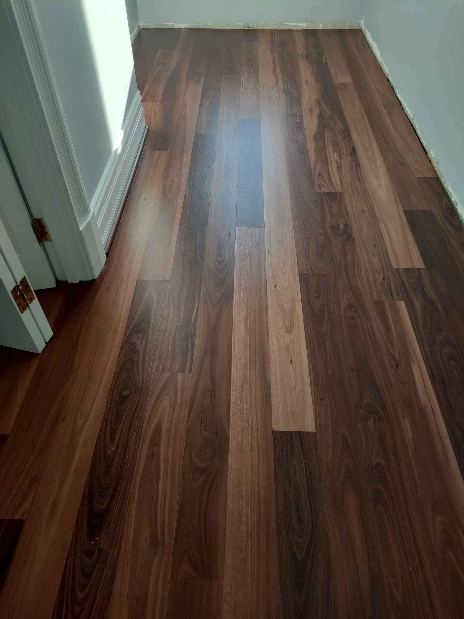 Jarrah Sand & Water-Based Satin — Koondoola — Koondoola