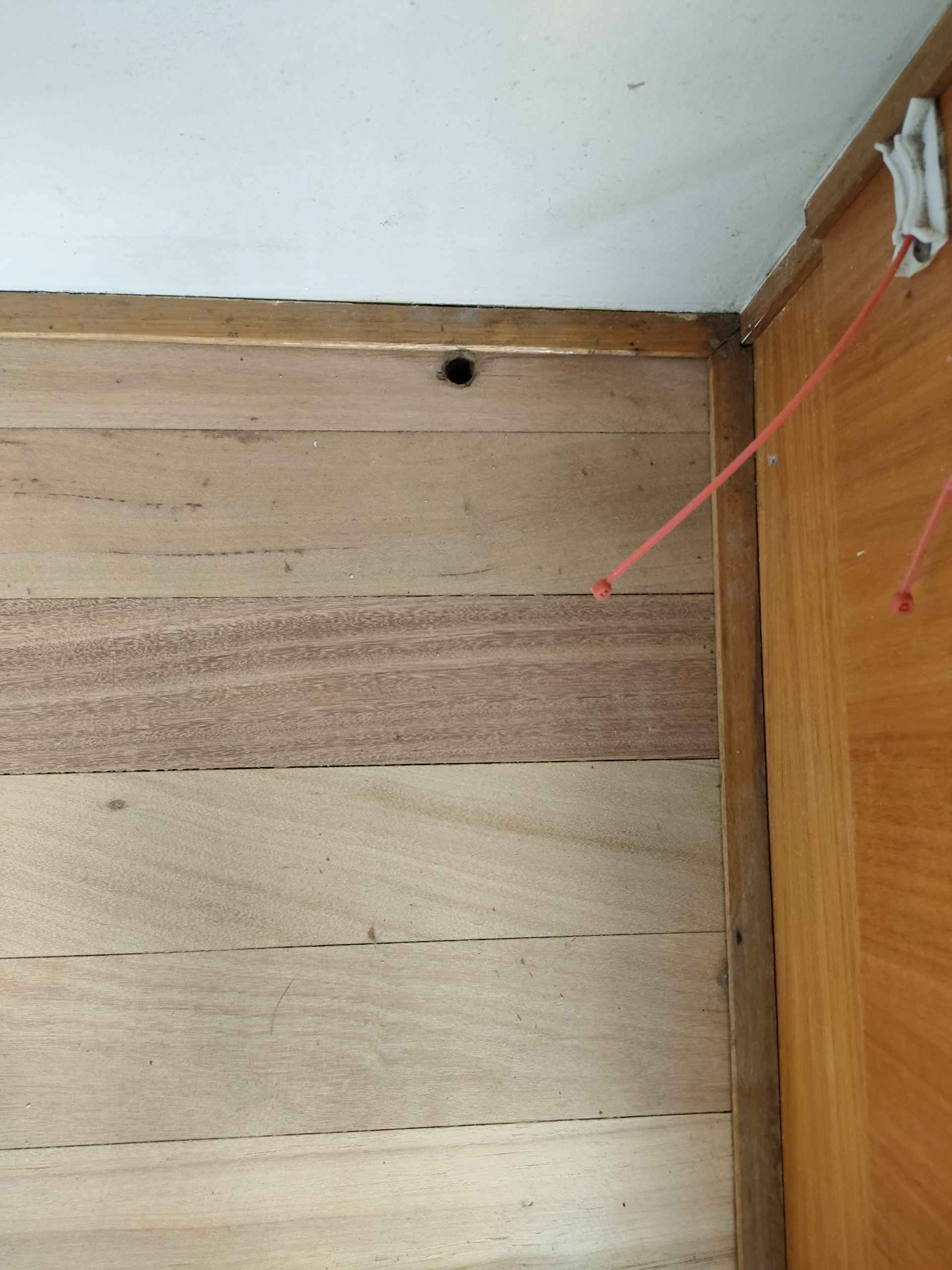 Blackbutt Sand & Water-Based Satin — Watermans Bay — Watermans Bay