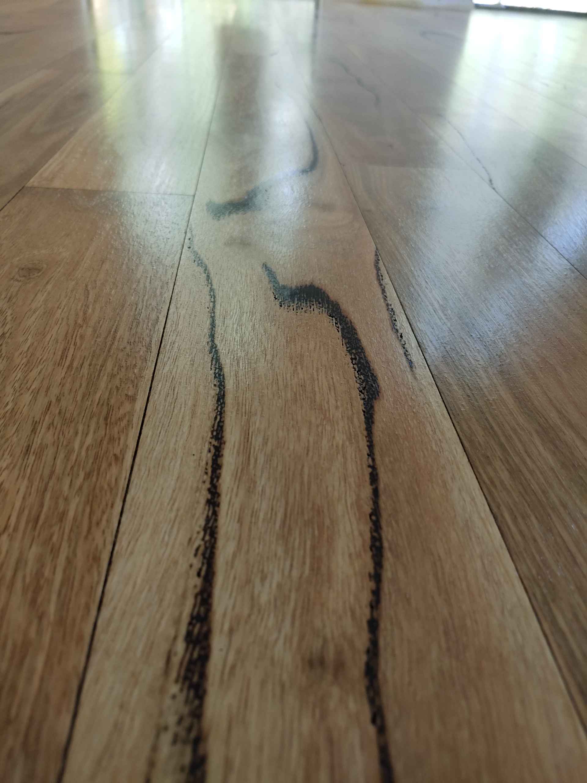 Why choose Ryan's Flooring — Perth's trusted timber floor specialists